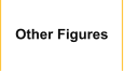 Other Figures